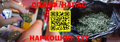 молекула духа Коммунар