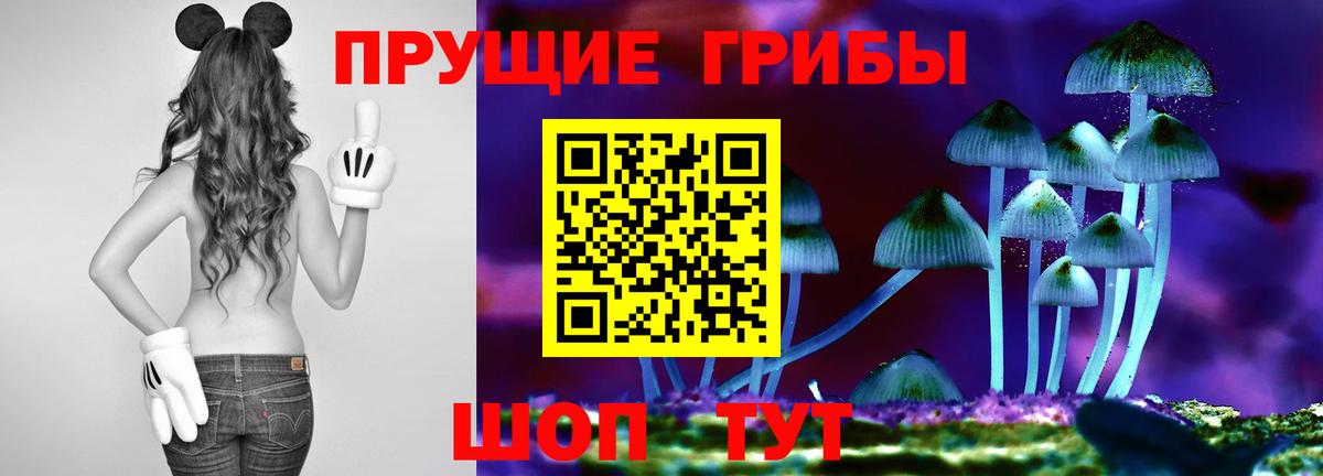 Псилоцибиновые грибы Magic Shrooms Котельники