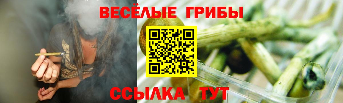 Галлюциногенные грибы GOLDEN TEACHER  Вход с VPN  Котельники  Псилоцибиновые грибы GOLDEN TEACHER 